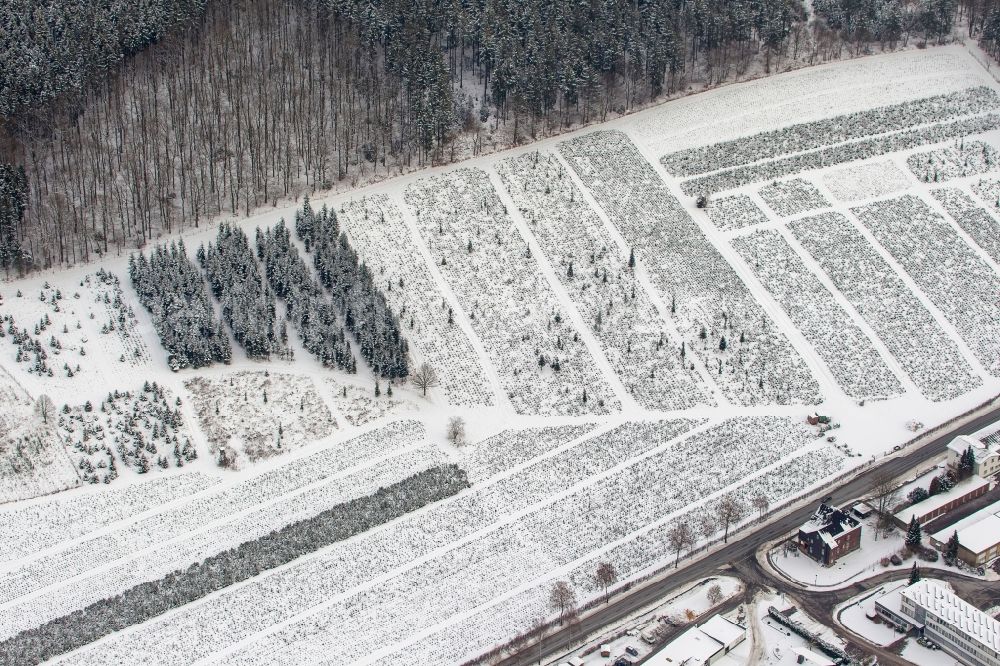 Aerial image Arnsberg - Winter Landscape of the ranks of the conservation of a nursery in Arnsberg in North Rhine-Westphalia NRW