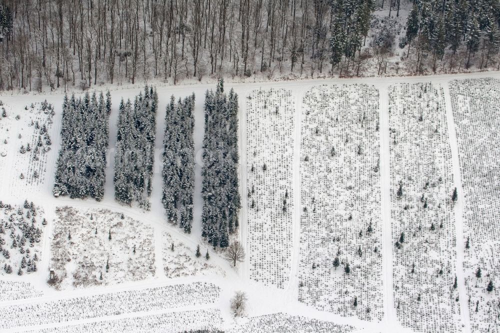 Aerial photograph Arnsberg - Winter Landscape of the ranks of the conservation of a nursery in Arnsberg in North Rhine-Westphalia NRW