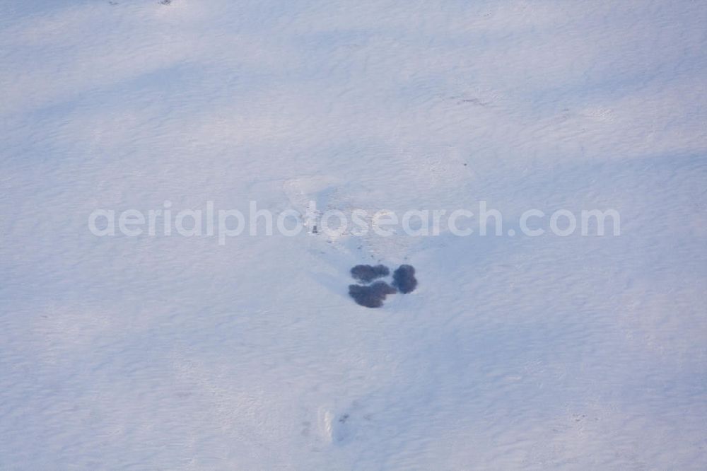 Aerial image Tutow - Winterlandschaft in Mecklenburg-Vorpommern in der Abendsonne.