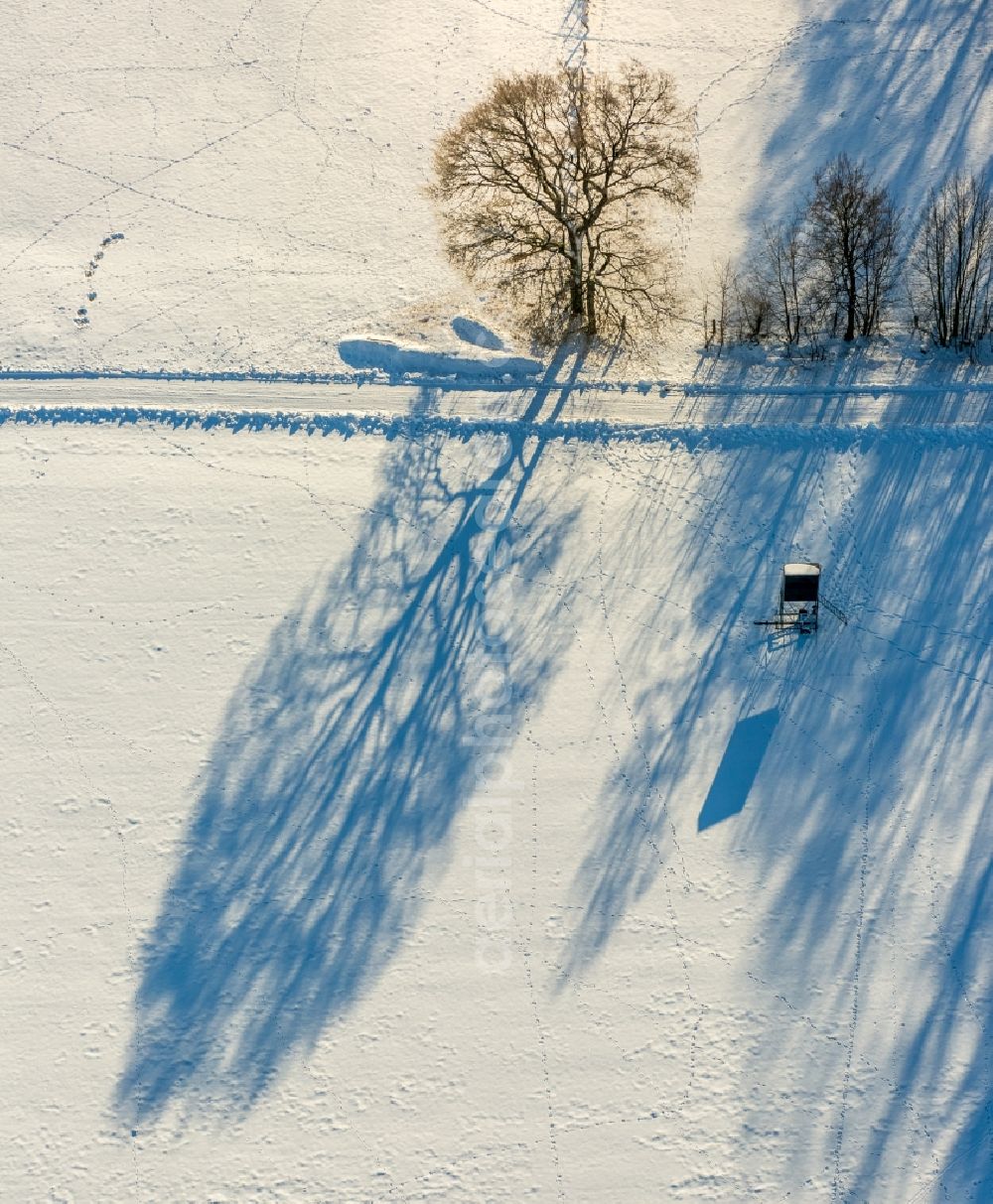 Warstein from the bird's eye view: Wintry snowy tree with shadow forming by light irradiation on a field in Warstein in the state North Rhine-Westphalia