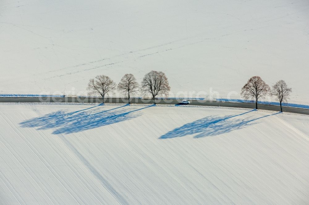 Warstein from the bird's eye view: Wintry snowy tree with shadow forming by light irradiation on a field in Warstein in the state North Rhine-Westphalia