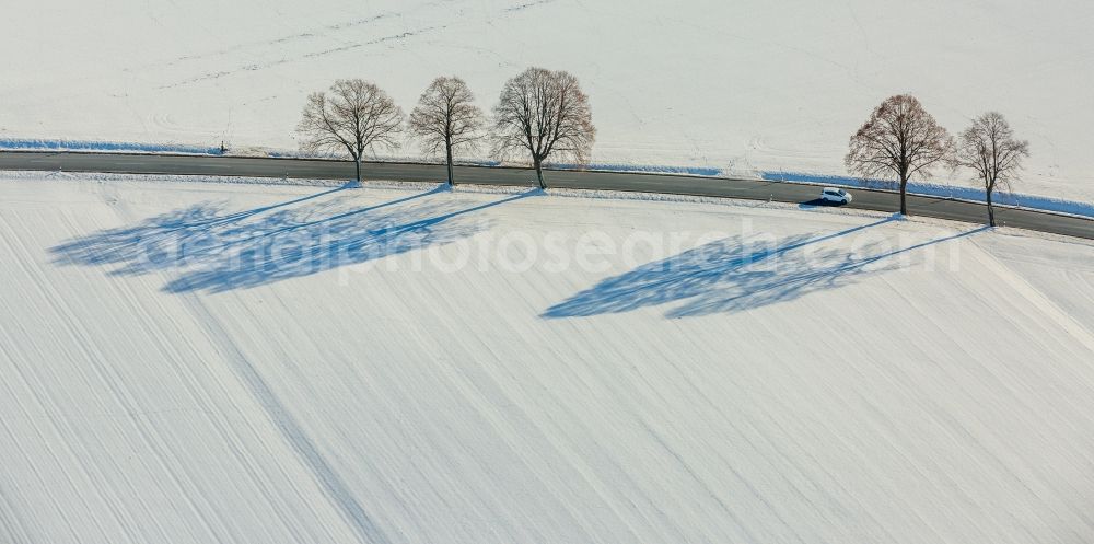 Aerial image Warstein - Wintry snowy tree with shadow forming by light irradiation on a field in Warstein in the state North Rhine-Westphalia