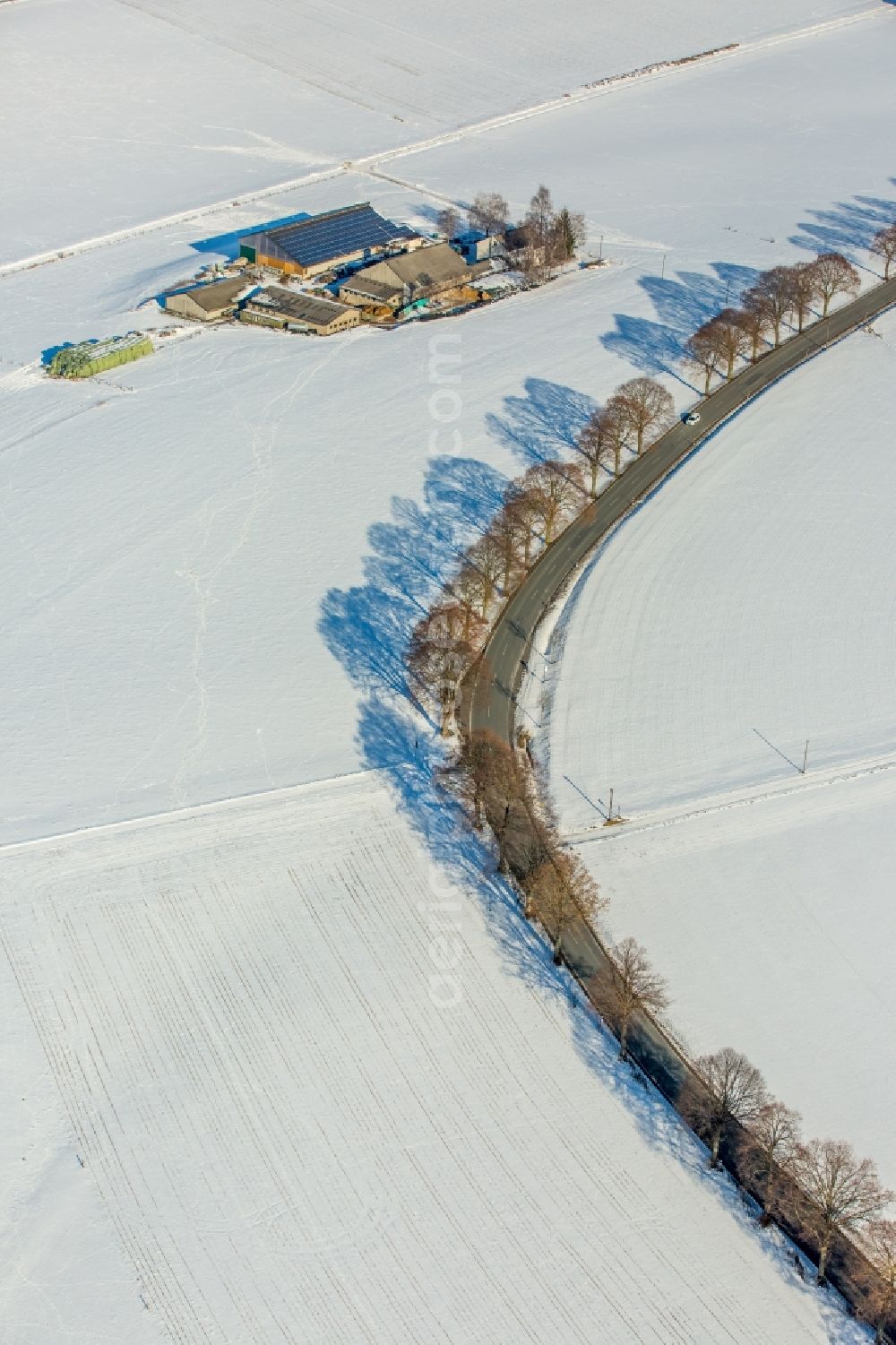 Aerial photograph Warstein - Wintry snowy tree with shadow forming by light irradiation on a field in Warstein in the state North Rhine-Westphalia