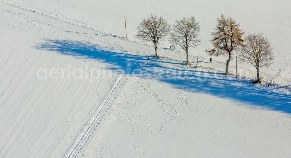 Warstein from the bird's eye view: Wintry snowy tree with shadow forming by light irradiation on a field in Warstein in the state North Rhine-Westphalia