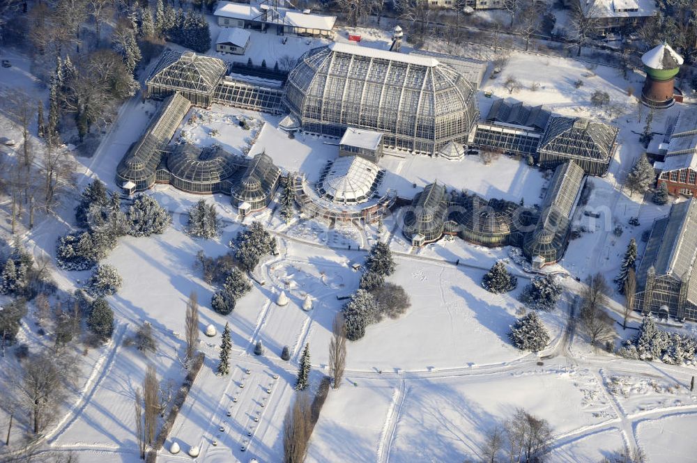 Aerial image Berlin - Winterlich verschneiter Blick auf Verschneite Winterlandschaft des Botanischen Garten Berlin-Dahlem. Der Botanischer Garten und Botanisches Museum Berlin-Dahlem (BGBM) ist eine Zentraleinrichtung der Freien Universität Berlin.