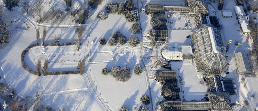 Aerial image Berlin - Winterlich verschneiter Blick auf Verschneite Winterlandschaft des Botanischen Garten Berlin-Dahlem. Der Botanischer Garten und Botanisches Museum Berlin-Dahlem (BGBM) ist eine Zentraleinrichtung der Freien Universität Berlin.