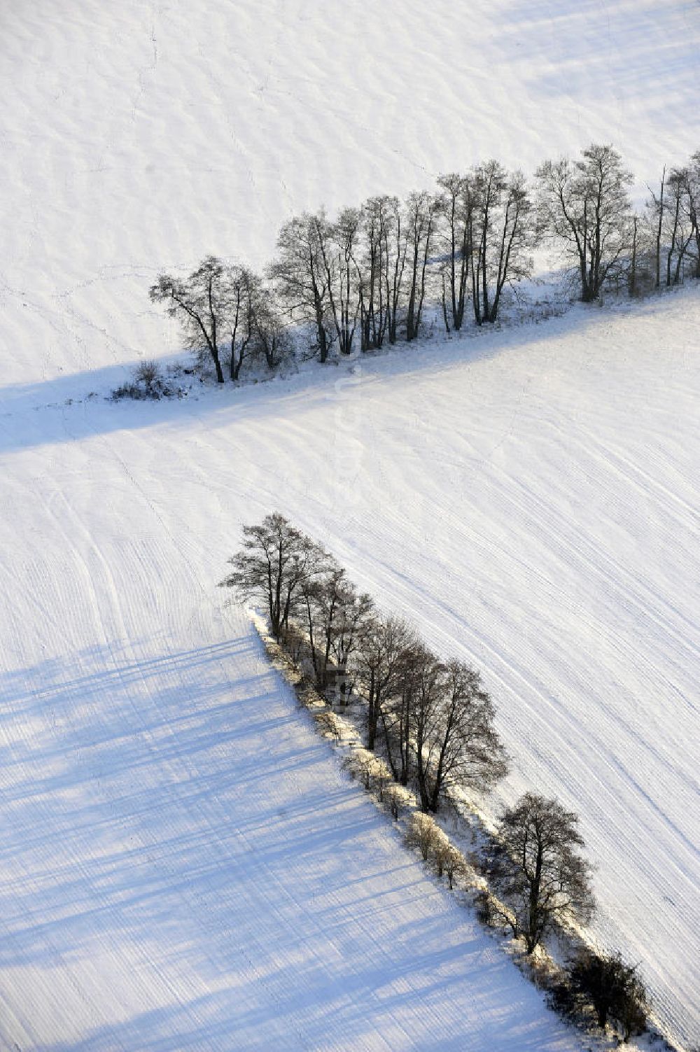 Aerial image Frankenfelde - Blick auf winterlich verschneite Felder im brandenburgischen Frankenfelde. Views of wintry, snowy fields in Frankenfelde.