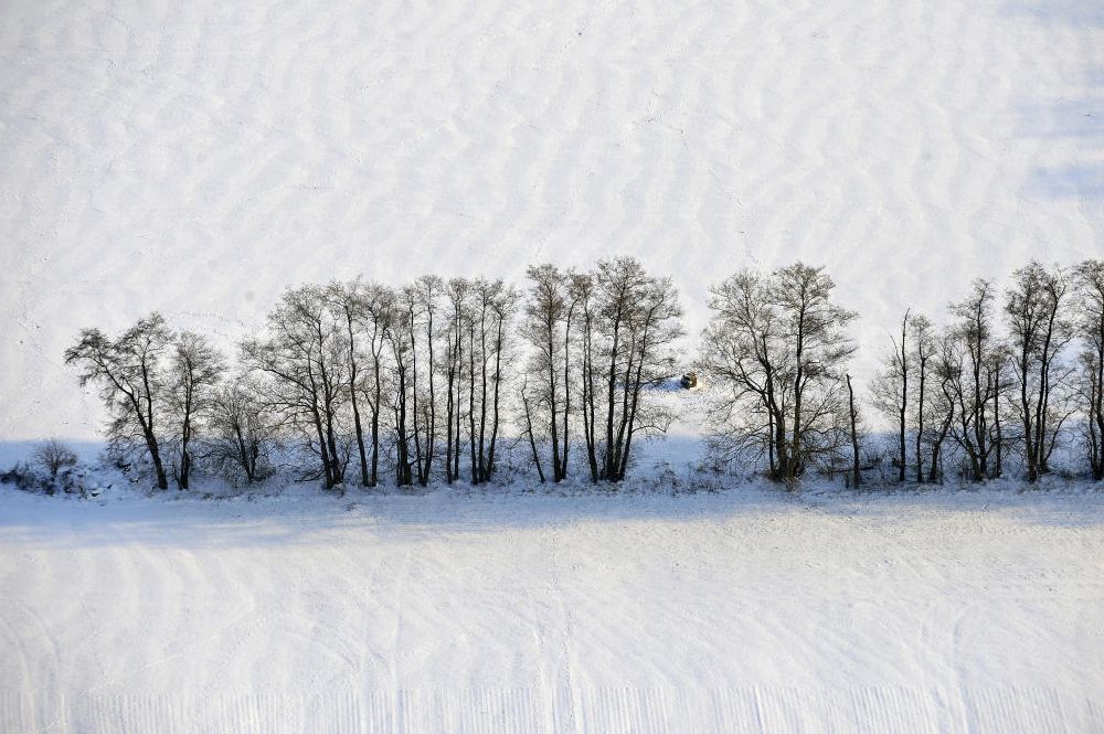 Aerial photograph Frankenfelde - Blick auf winterlich verschneite Felder im brandenburgischen Frankenfelde. Views of wintry, snowy fields in Frankenfelde.