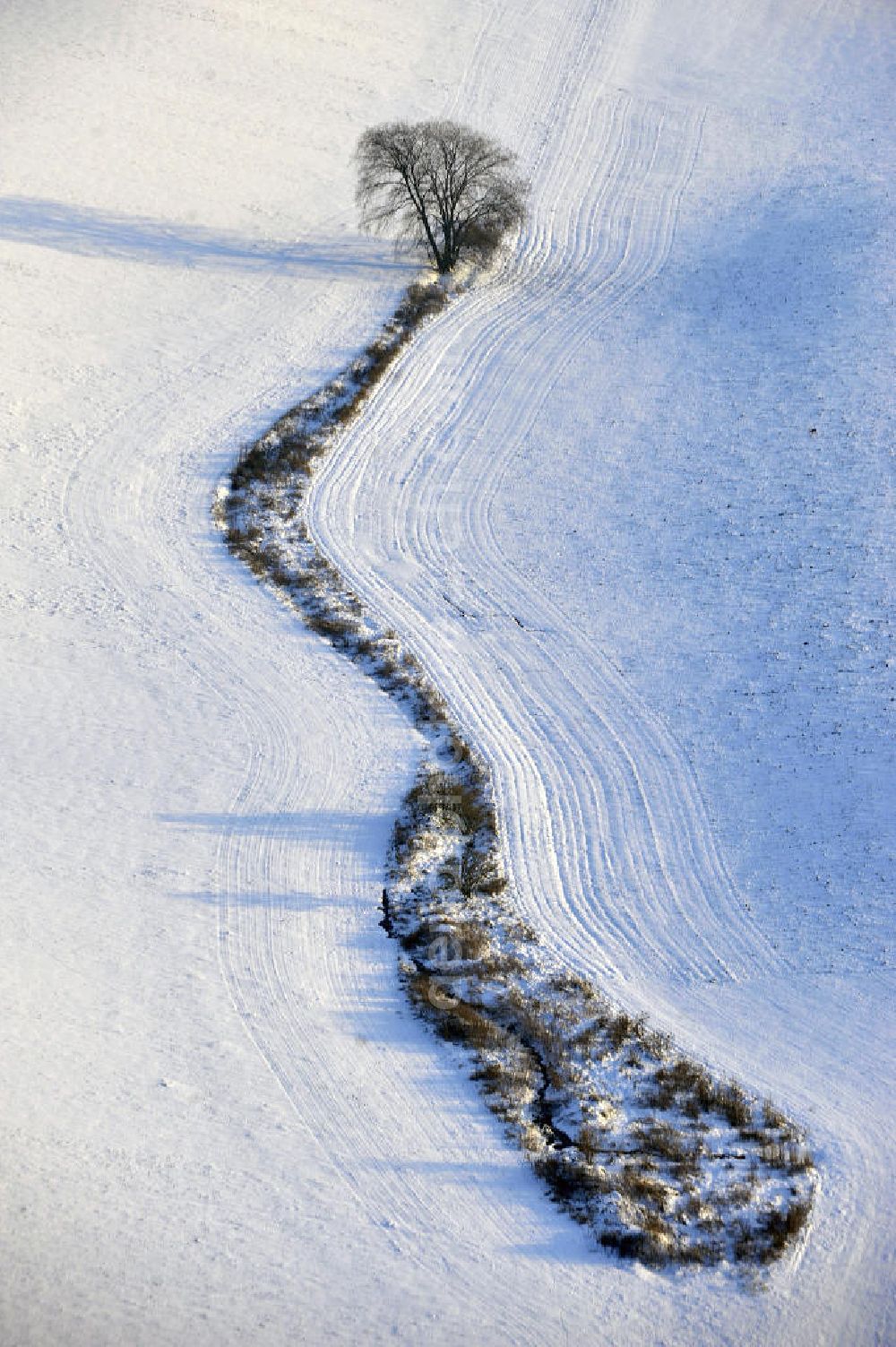 Frankenfelde from above - Blick auf winterlich verschneite Felder im brandenburgischen Frankenfelde. Views of wintry, snowy fields in Frankenfelde.