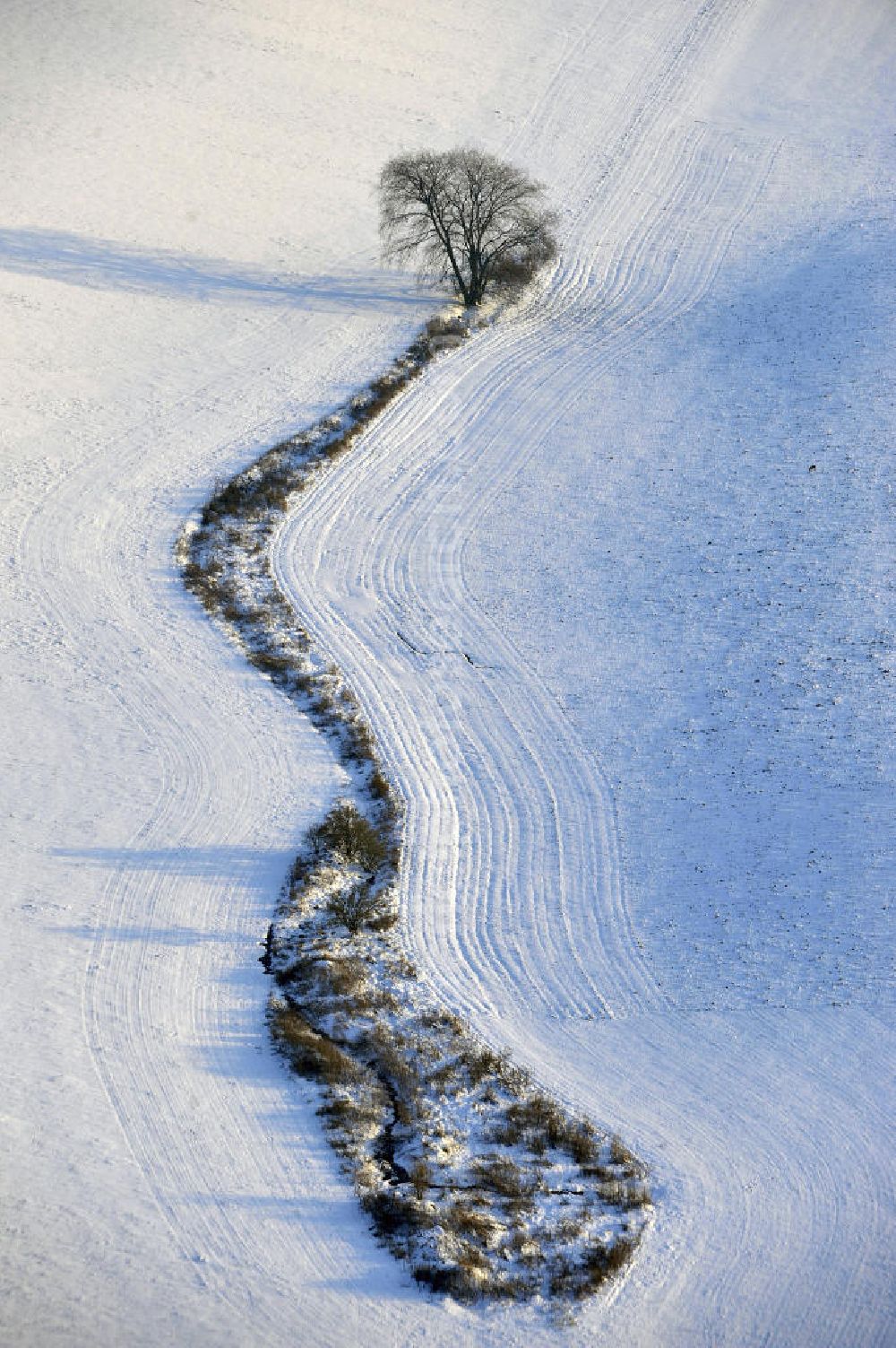 Frankenfelde from the bird's eye view: Blick auf winterlich verschneite Felder im brandenburgischen Frankenfelde. Views of wintry, snowy fields in Frankenfelde.