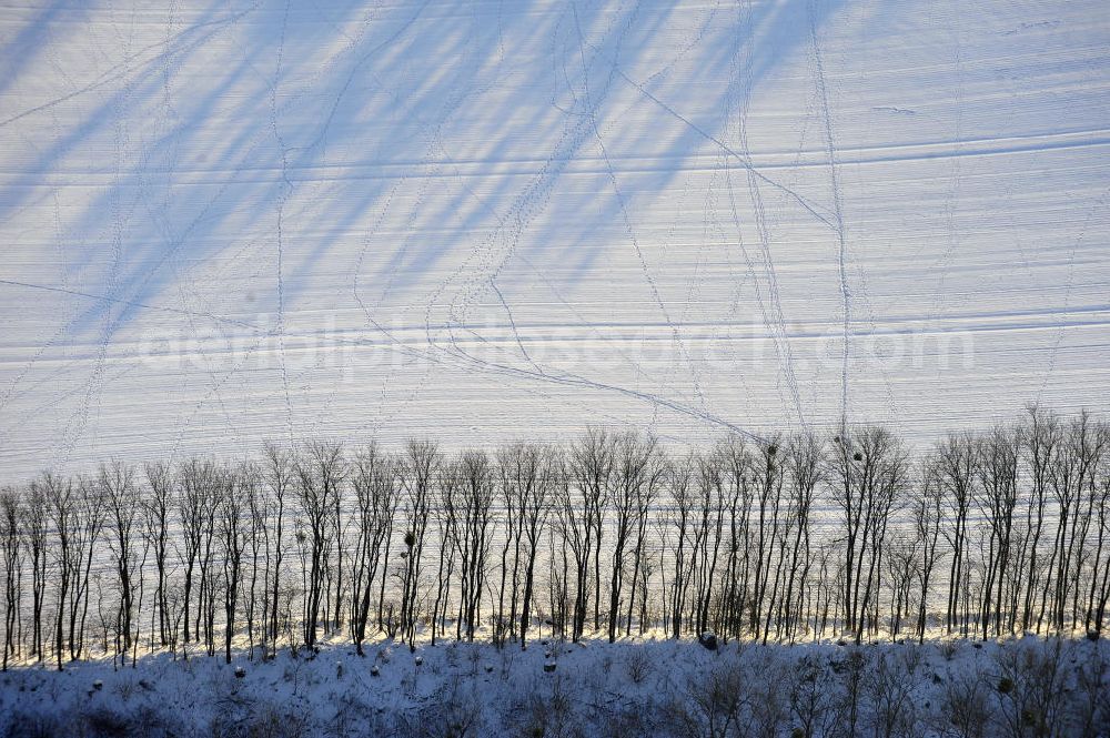 Frankenfelde from the bird's eye view: Blick auf winterlich verschneite Felder im brandenburgischen Frankenfelde. Views of wintry, snowy fields in Frankenfelde.