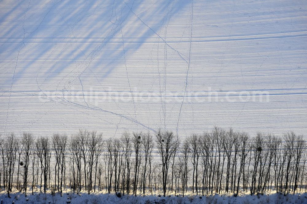 Aerial image Frankenfelde - Blick auf winterlich verschneite Felder im brandenburgischen Frankenfelde. Views of wintry, snowy fields in Frankenfelde.