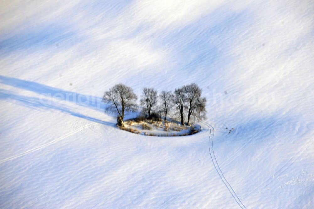 Aerial photograph Frankenfelde - Blick auf winterlich verschneite Felder im brandenburgischen Frankenfelde. Views of wintry, snowy fields in Frankenfelde.