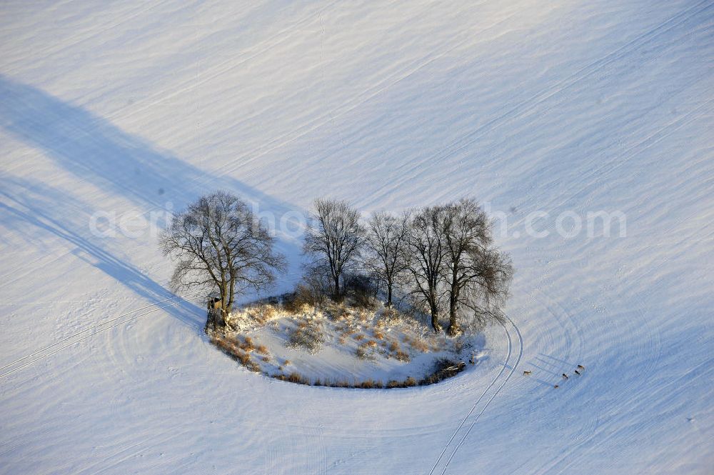 Frankenfelde from above - Blick auf winterlich verschneite Felder im brandenburgischen Frankenfelde. Views of wintry, snowy fields in Frankenfelde.