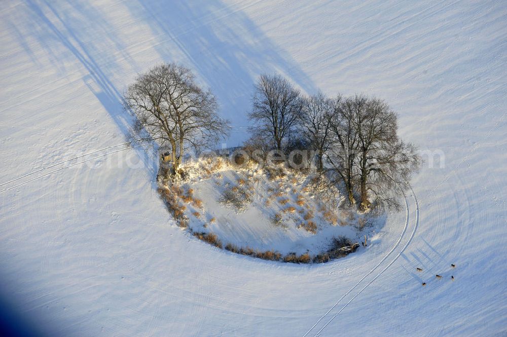 Frankenfelde from the bird's eye view: Blick auf winterlich verschneite Felder im brandenburgischen Frankenfelde. Views of wintry, snowy fields in Frankenfelde.