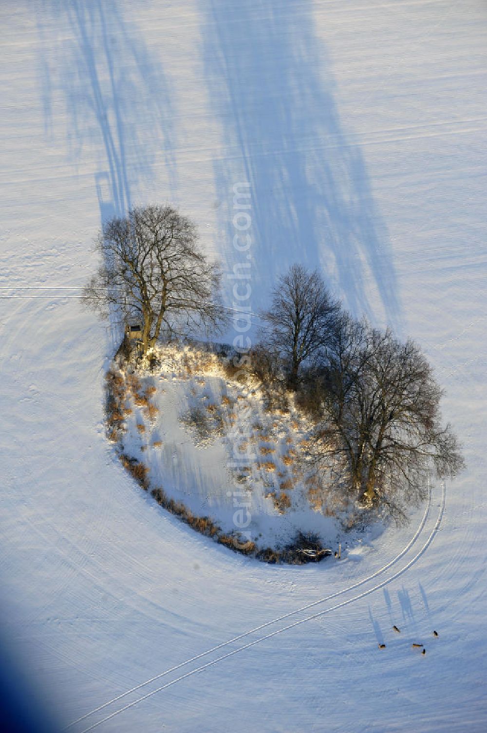 Aerial image Frankenfelde - Blick auf winterlich verschneite Felder im brandenburgischen Frankenfelde. Views of wintry, snowy fields in Frankenfelde.