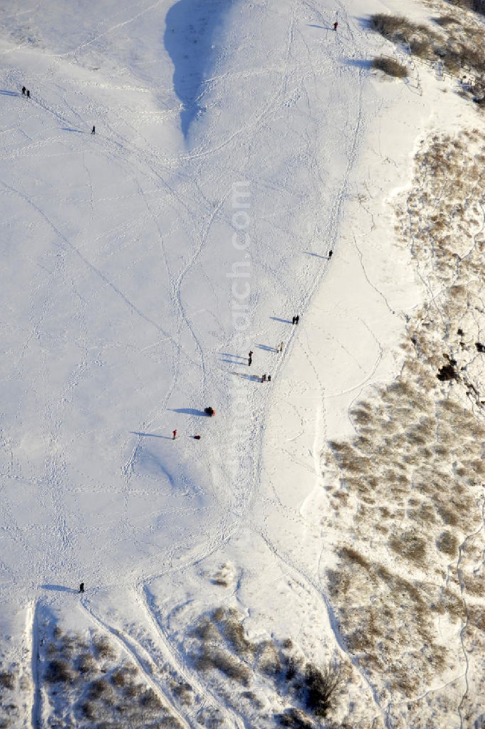 Aerial photograph Berlin - Winterlandschaft am Rodelberg am Teufelsberg in Berlin. Winter landscape on the sledding hill at Devil's Mountain in Berlin.