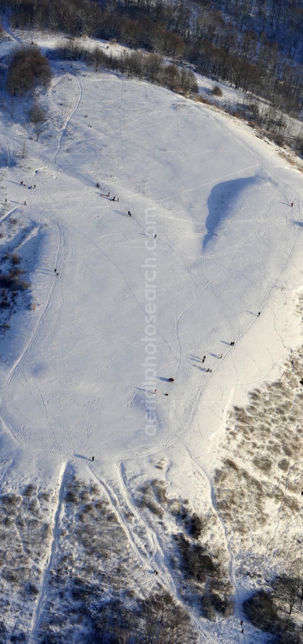 Berlin from above - Winterlandschaft am Rodelberg am Teufelsberg in Berlin. Winter landscape on the sledding hill at Devil's Mountain in Berlin.