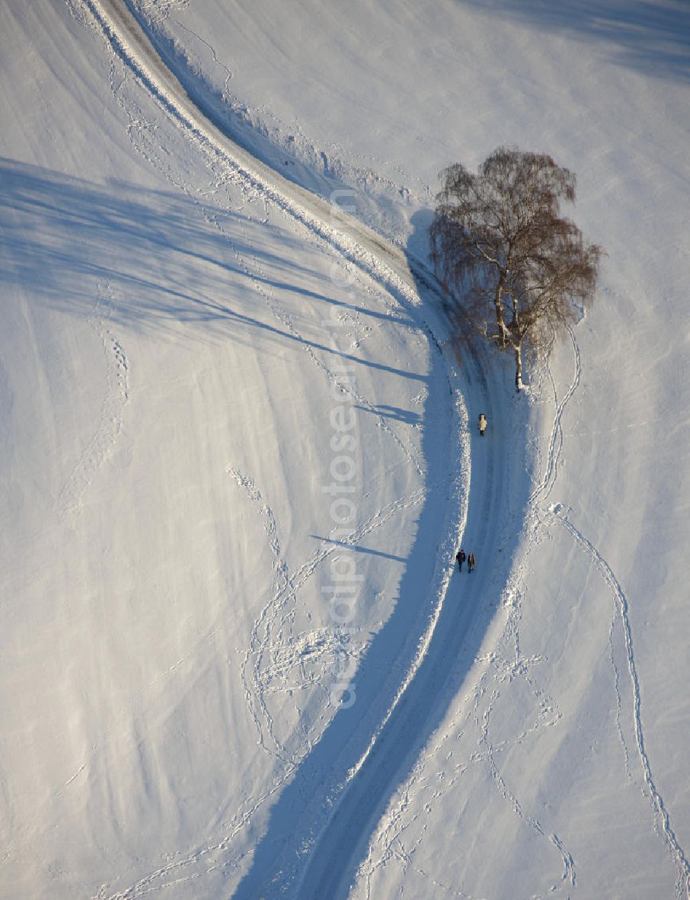 Aerial photograph Hattingen - Winterlandschaft eines verschneiten Feldes bei Blankenstein Auf Drehnhausen in Hattingen. Winter landscape of a snowy field near Blankenstein in Hattingen.