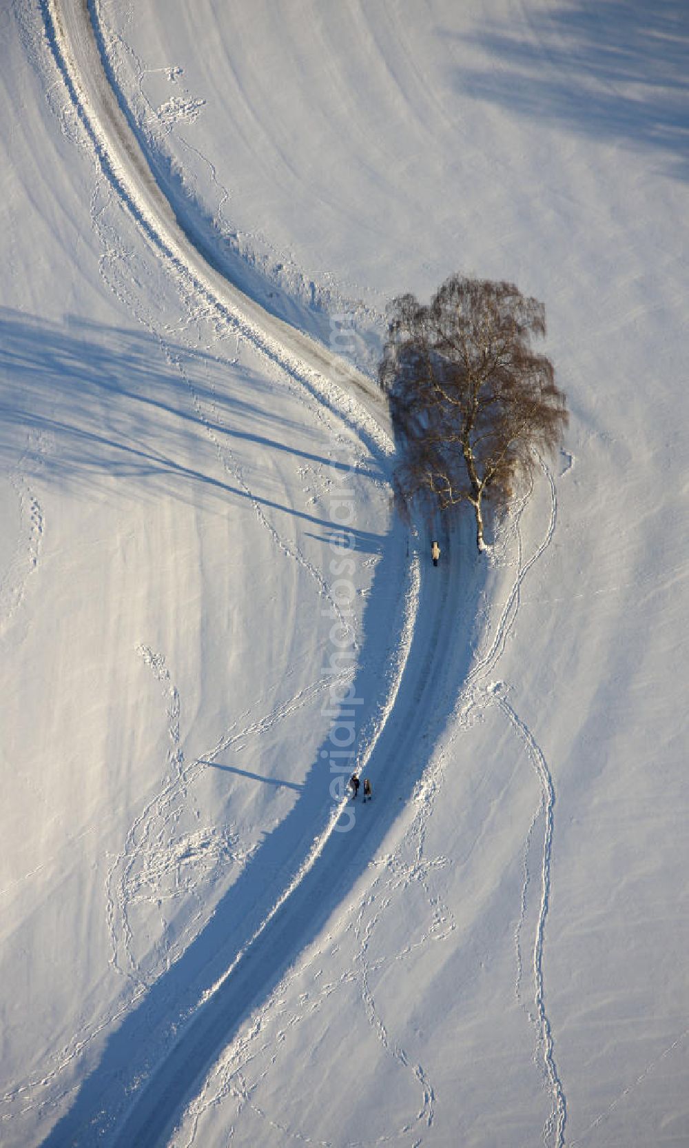 Hattingen from above - Winterlandschaft eines verschneiten Feldes bei Blankenstein Auf Drehnhausen in Hattingen. Winter landscape of a snowy field near Blankenstein in Hattingen.