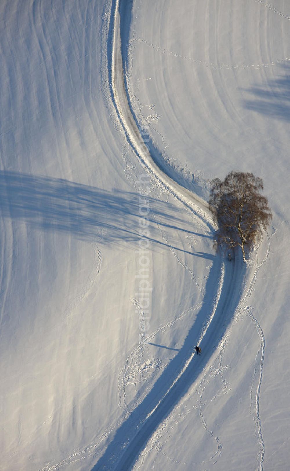 Hattingen from the bird's eye view: Winterlandschaft eines verschneiten Feldes bei Blankenstein Auf Drehnhausen in Hattingen. Winter landscape of a snowy field near Blankenstein in Hattingen.