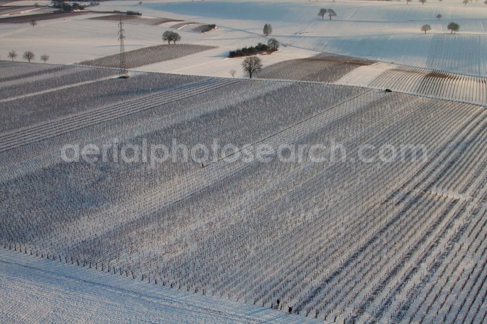 Aerial image Dierbach - Snowed whiute Fields of wine cultivation landscape in Dierbach in the state Rhineland-Palatinate