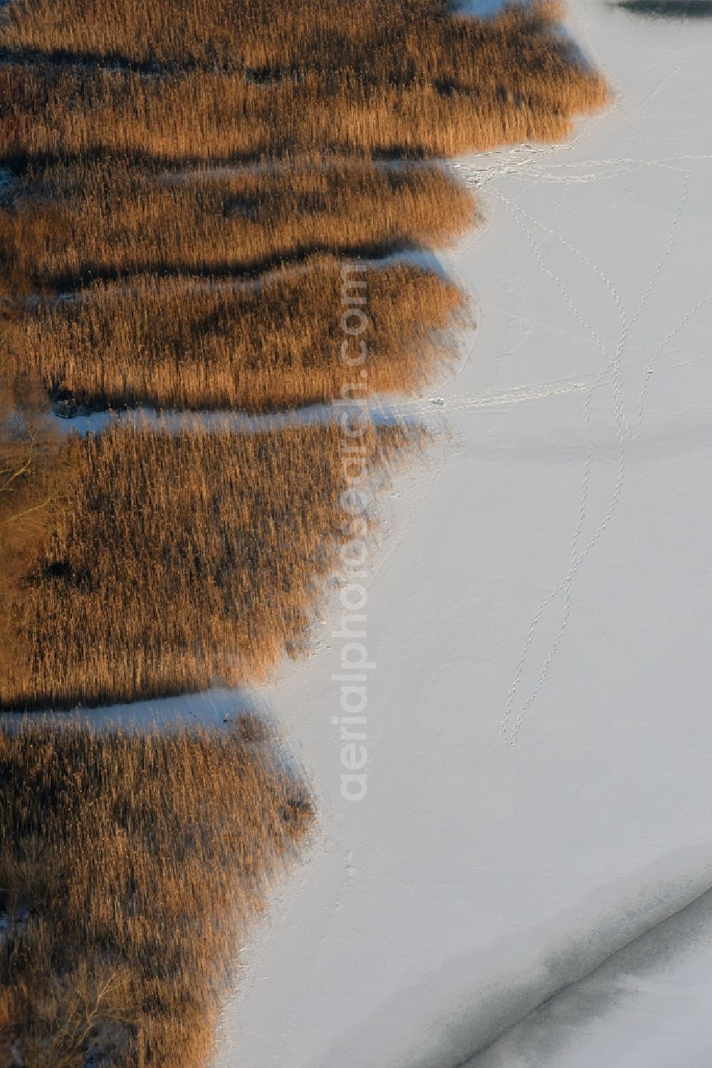 Aerial photograph Päwesin - Wintry snow and ice-covered surfaces of the reed sea shore areas in Bollmannsruh in Brandenburg