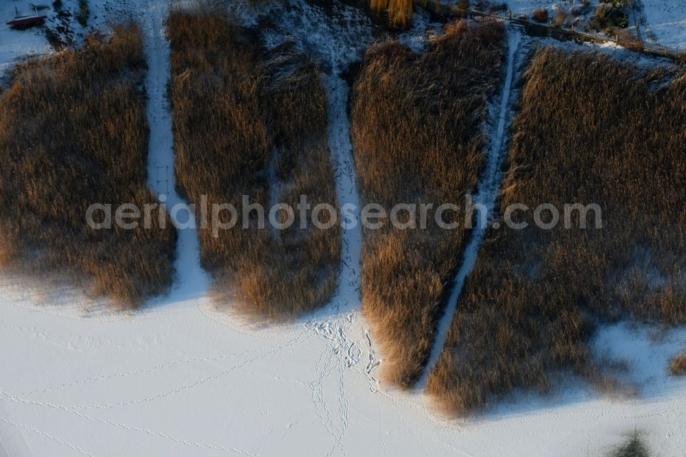 Päwesin from above - Wintry snow and ice-covered surfaces of the reed sea shore areas in Bollmannsruh in Brandenburg