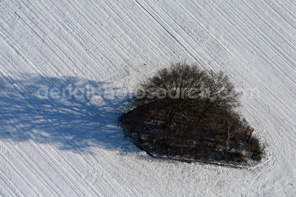 Aerial photograph Roskow - Island of trees in a field in Roskow in the state Brandenburg