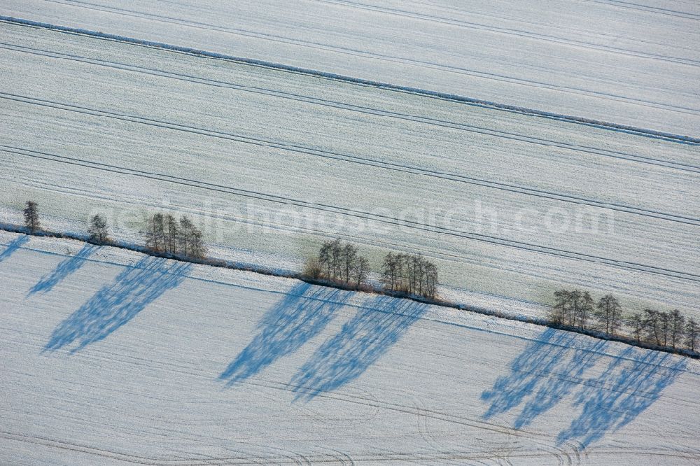 Werl from above - Wintry snowy row of trees on a country road on a field edge near Werl in the state North Rhine-Westphalia