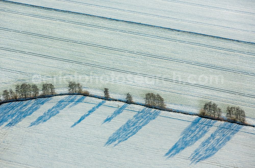 Werl from the bird's eye view: Wintry snowy row of trees on a country road on a field edge near Werl in the state North Rhine-Westphalia
