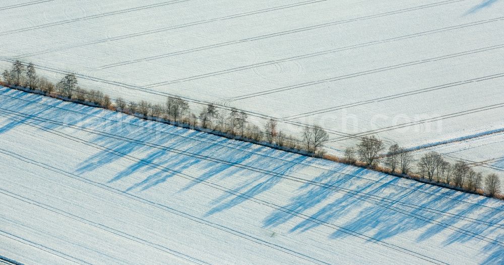 Aerial image Werl - Wintry snowy row of trees on a country road on a field edge near Werl in the state North Rhine-Westphalia
