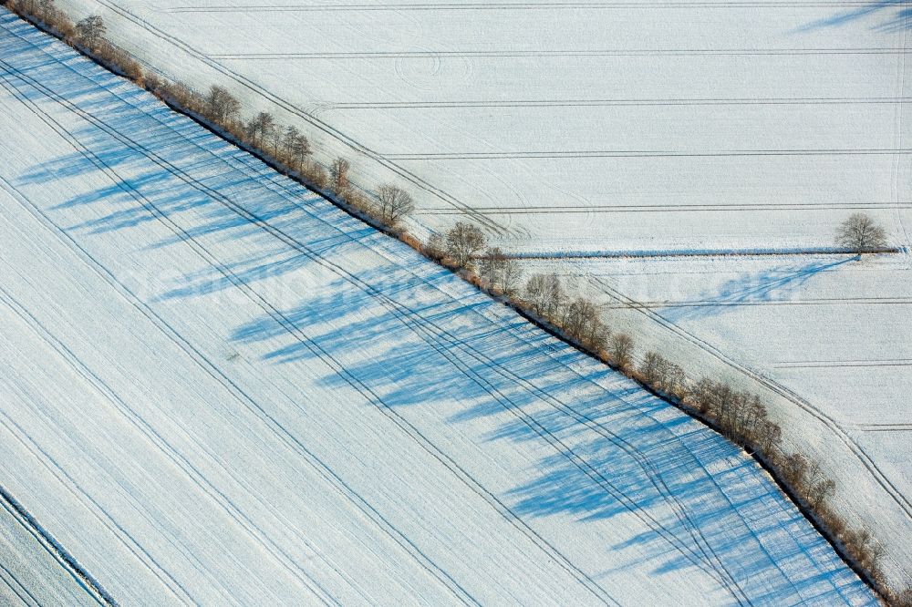 Aerial photograph Werl - Wintry snowy row of trees on a country road on a field edge near Werl in the state North Rhine-Westphalia