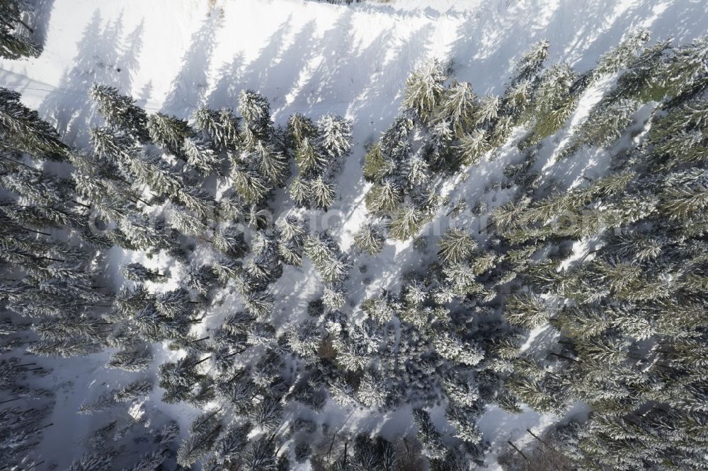 Achern from the bird's eye view: Wintry snowy treetops in a wooded area in Achern in the state Baden-Wuerttemberg