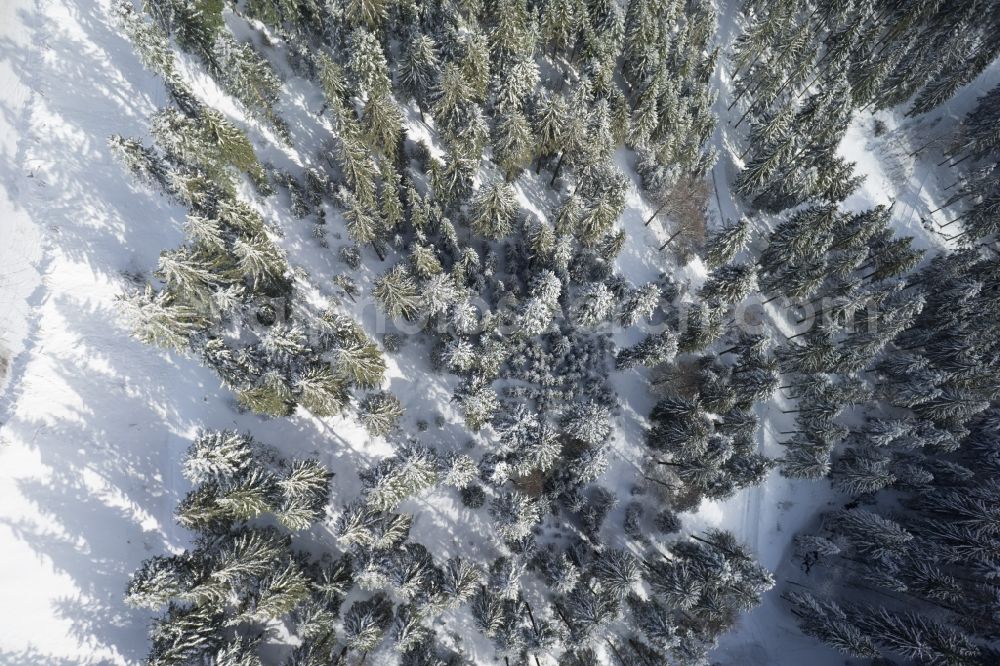 Aerial image Achern - Wintry snowy treetops in a wooded area in Achern in the state Baden-Wuerttemberg