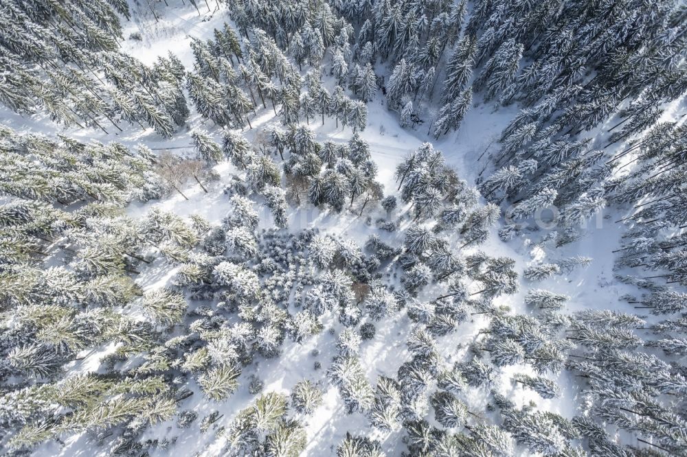 Aerial photograph Achern - Wintry snowy treetops in a wooded area in Achern in the state Baden-Wuerttemberg