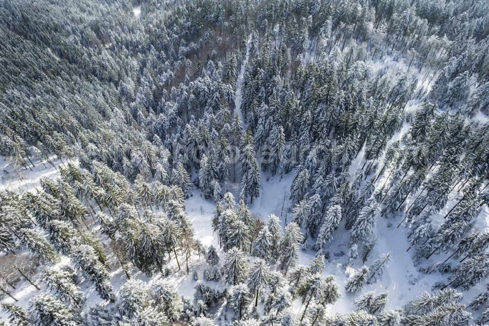 Achern from above - Wintry snowy treetops in a wooded area in Achern in the state Baden-Wuerttemberg