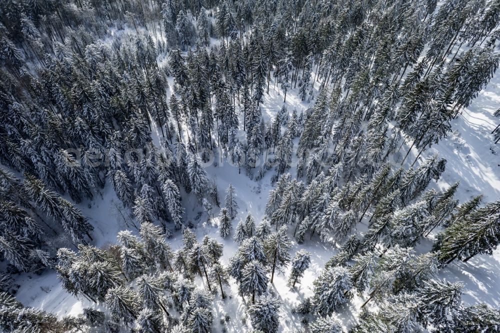 Achern from the bird's eye view: Wintry snowy treetops in a wooded area in Achern in the state Baden-Wuerttemberg