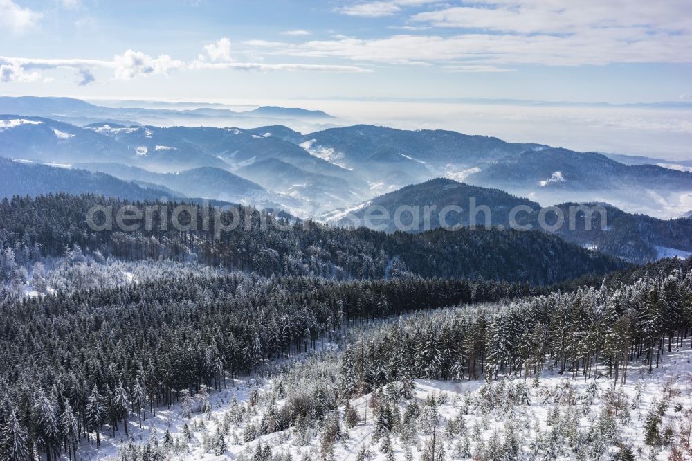 Seebach from above - Wintry snowy treetops in a wooded area in Seebach in the state Baden-Wuerttemberg