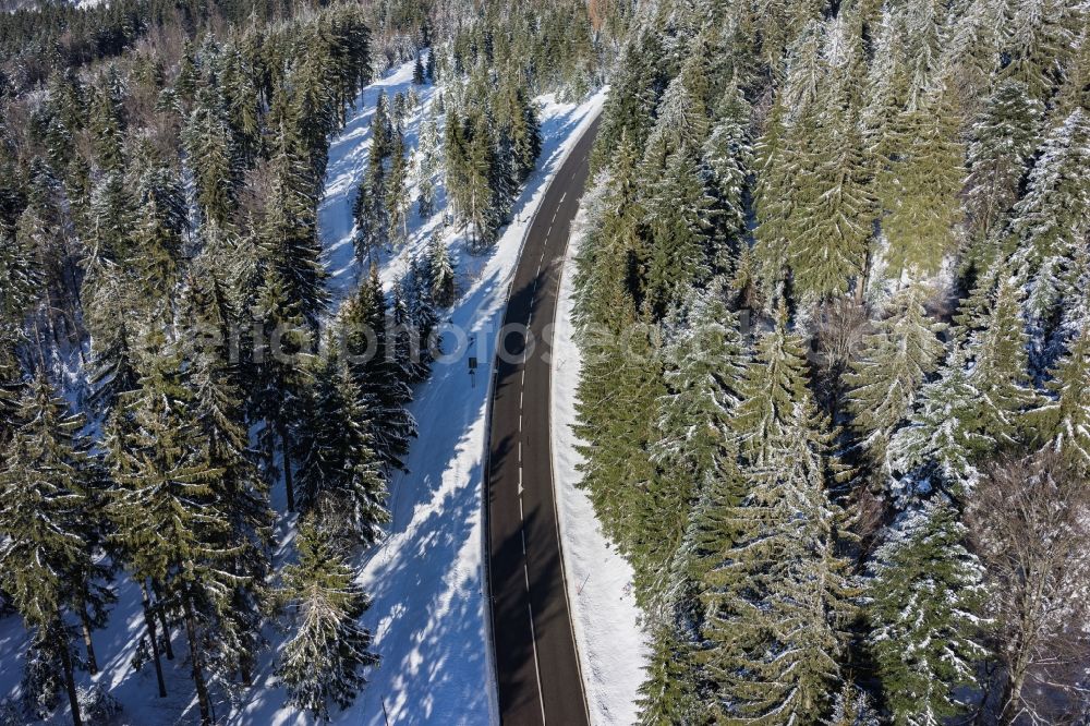 Seebach from above - Wintry snowy treetops in a wooded area in Seebach in the state Baden-Wuerttemberg