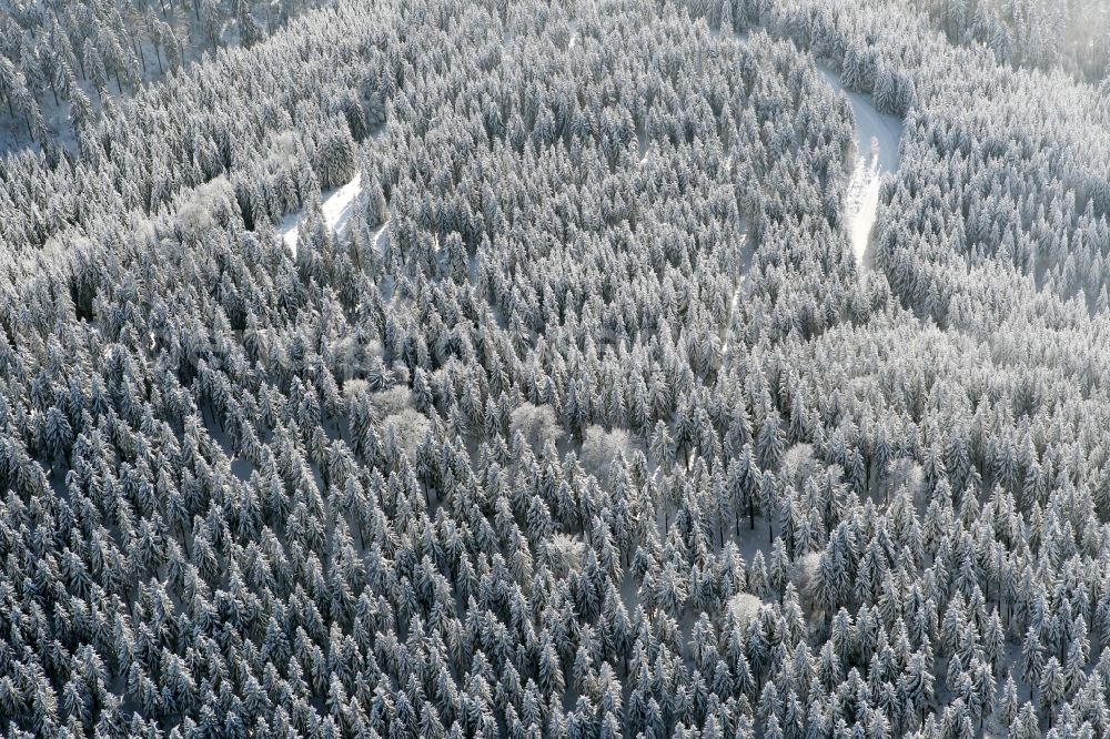 Aerial image Katzhütte - Wintry snowy treetops in a wooded area in Katzhuette in the state Thuringia