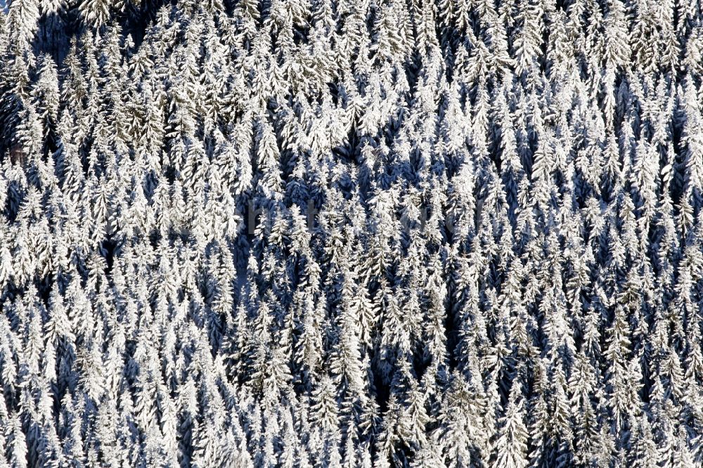 Aerial photograph Katzhütte - Wintry snowy treetops in a wooded area in Katzhuette in the state Thuringia