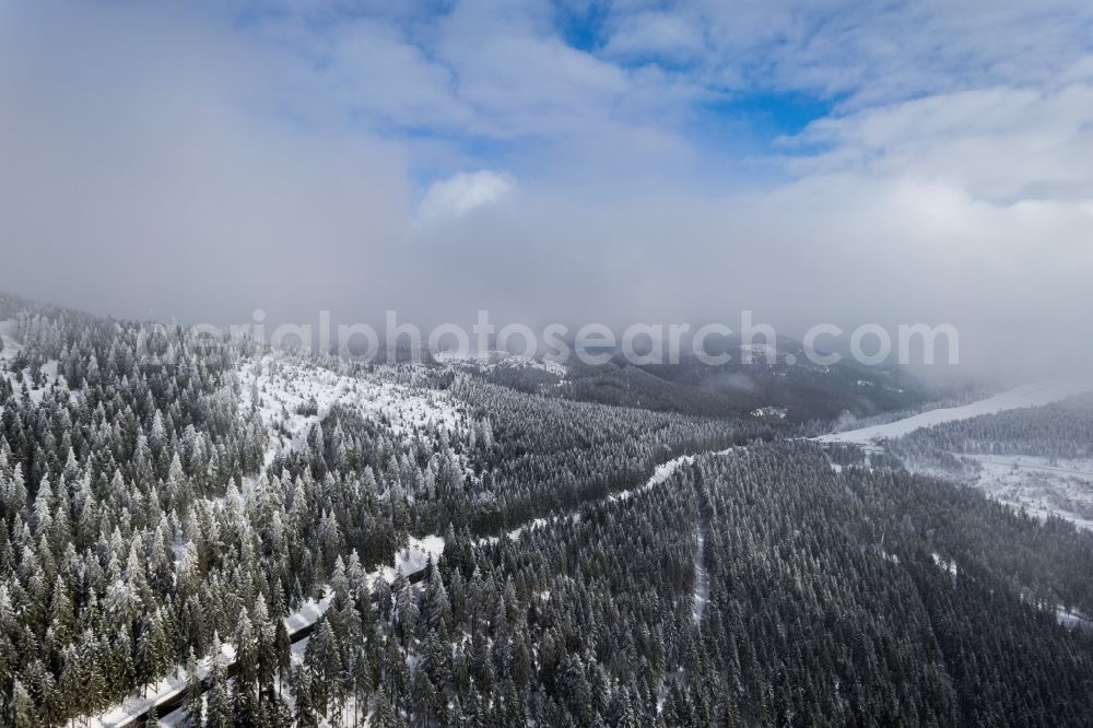 Seebach from the bird's eye view: Wintry snowy treetops in a wooded area in Seebach in the state Baden-Wuerttemberg