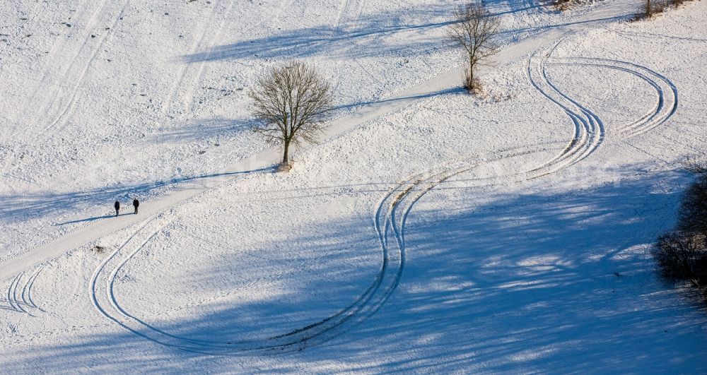 Arnsberg from the bird's eye view: Wintry snowy scenery with strollers in a country road in a field edge in the district felling trees in Arnsberg in the federal state North Rhine-Westphalia