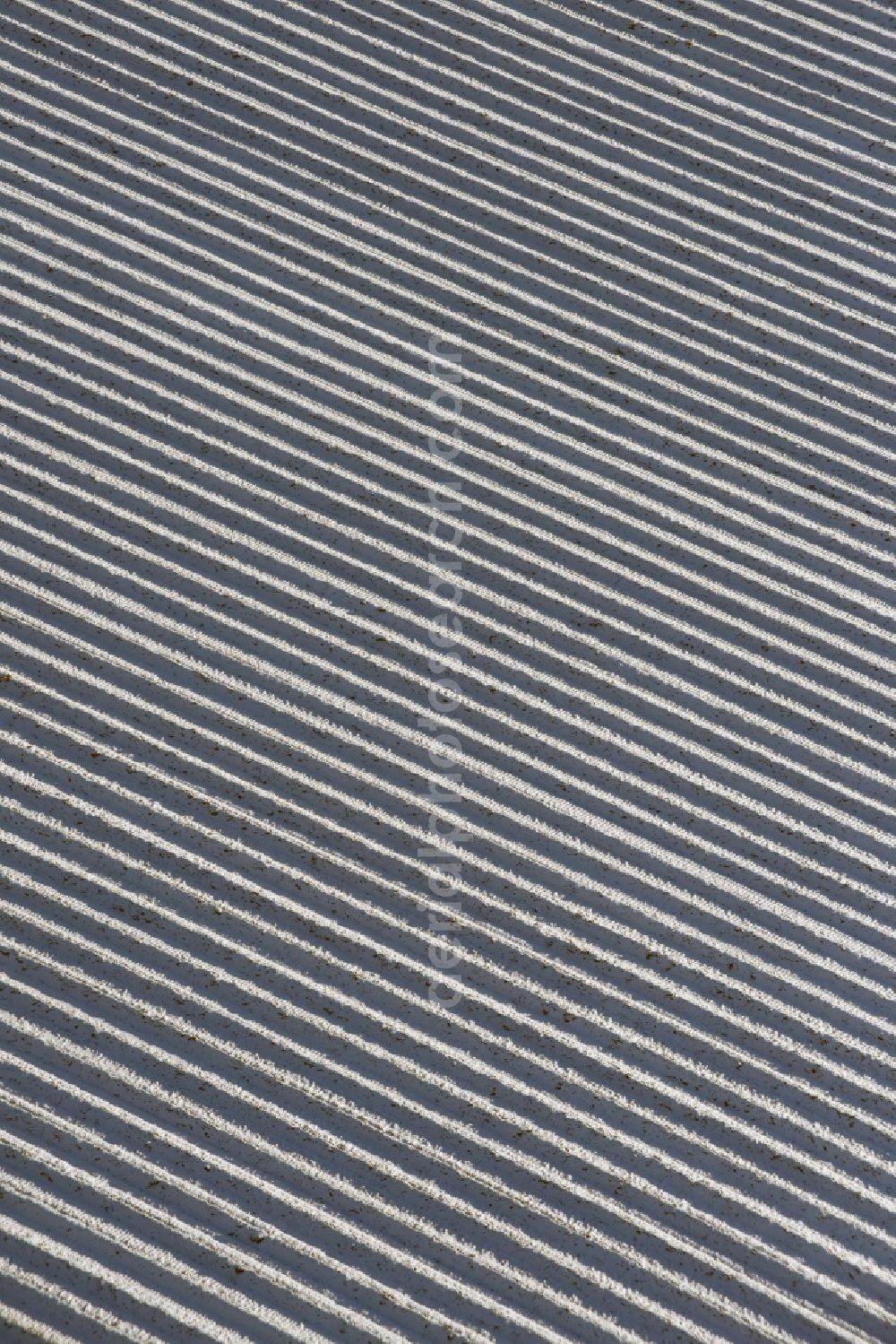 Aerial photograph Beetzseeheide - Winterly snowy rows with asparagus growing on field surfaces in Beetzseeheide in the state Brandenburg