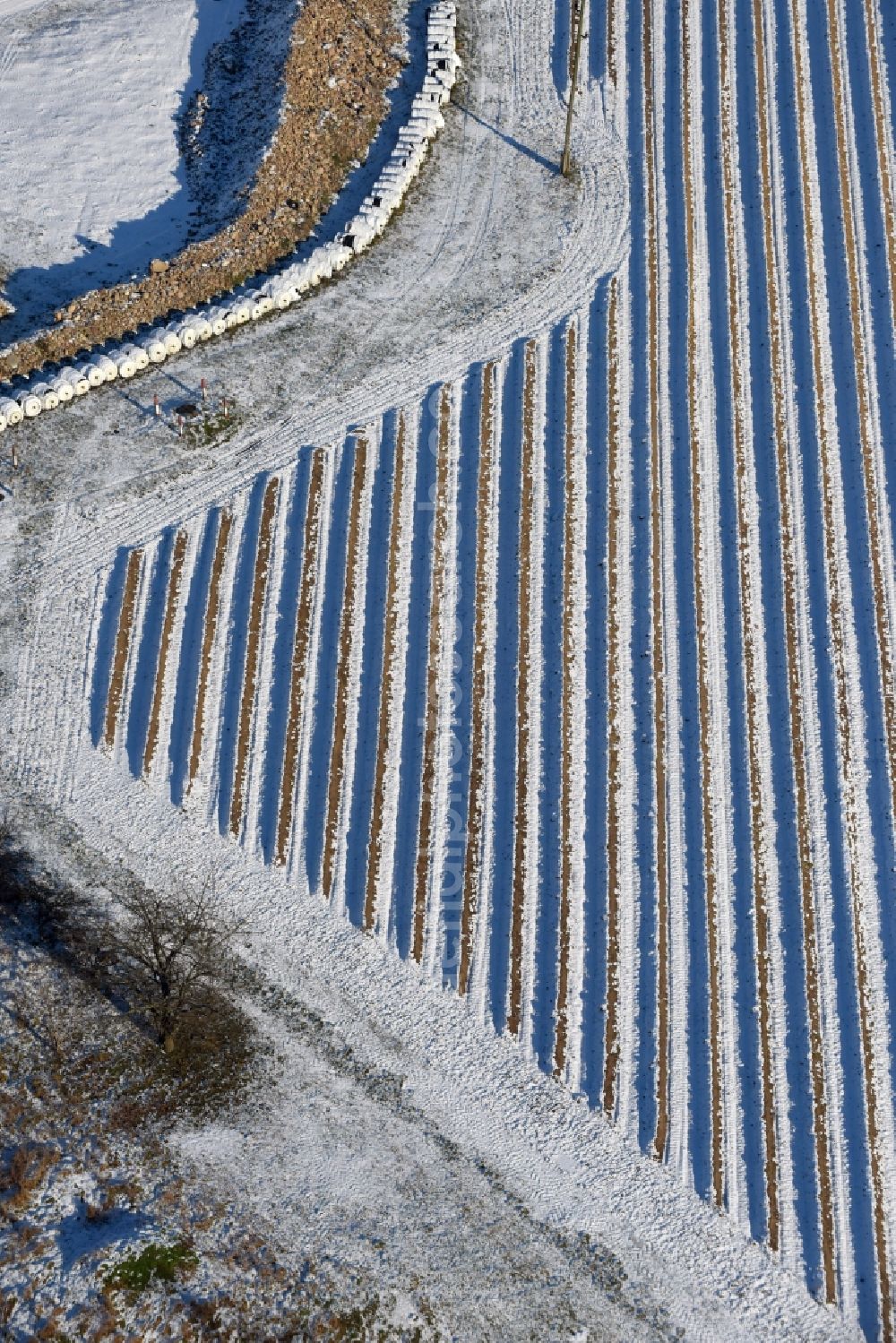 Beetzseeheide from above - Winterly snowy rows with asparagus growing on field surfaces close to agricultural enterprise Domstiftsgut Moetzow on Gutshof in Beetzseeheide in the state Brandenburg