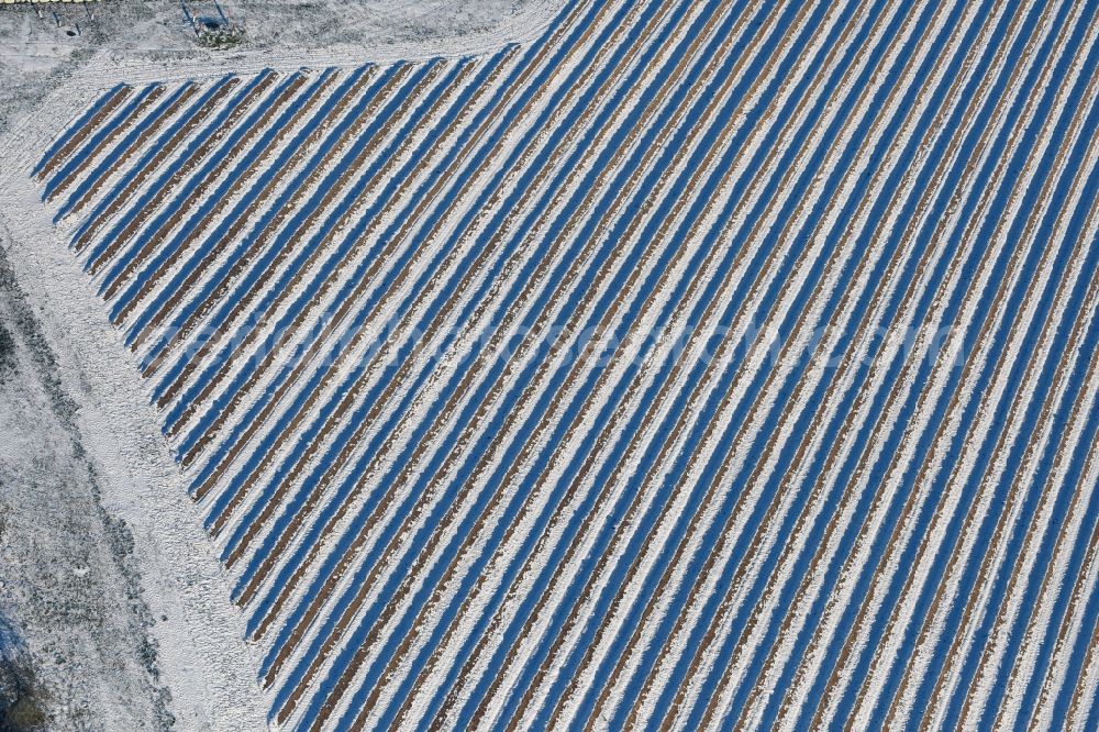 Beetzseeheide from the bird's eye view: Winterly snowy rows with asparagus growing on field surfaces close to agricultural enterprise Domstiftsgut Moetzow on Gutshof in Beetzseeheide in the state Brandenburg