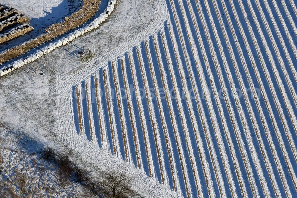 Beetzseeheide from above - Winterly snowy rows with asparagus growing on field surfaces close to agricultural enterprise Domstiftsgut Moetzow on Gutshof in Beetzseeheide in the state Brandenburg