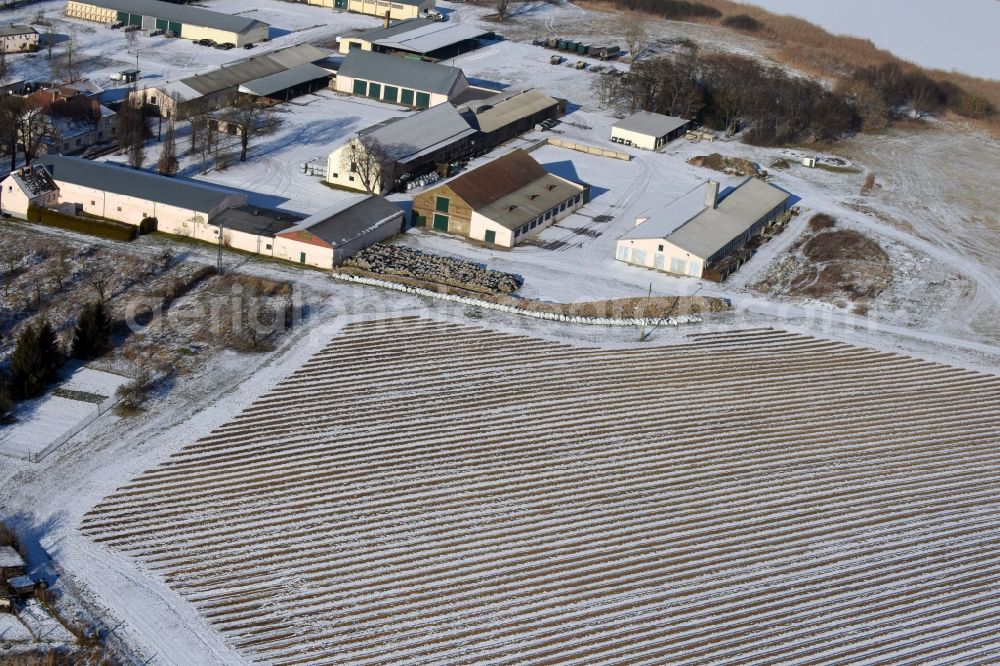 Beetzseeheide from the bird's eye view: Winterly snowy rows with asparagus growing on field surfaces close to agricultural enterprise Domstiftsgut Moetzow on Gutshof in Beetzseeheide in the state Brandenburg