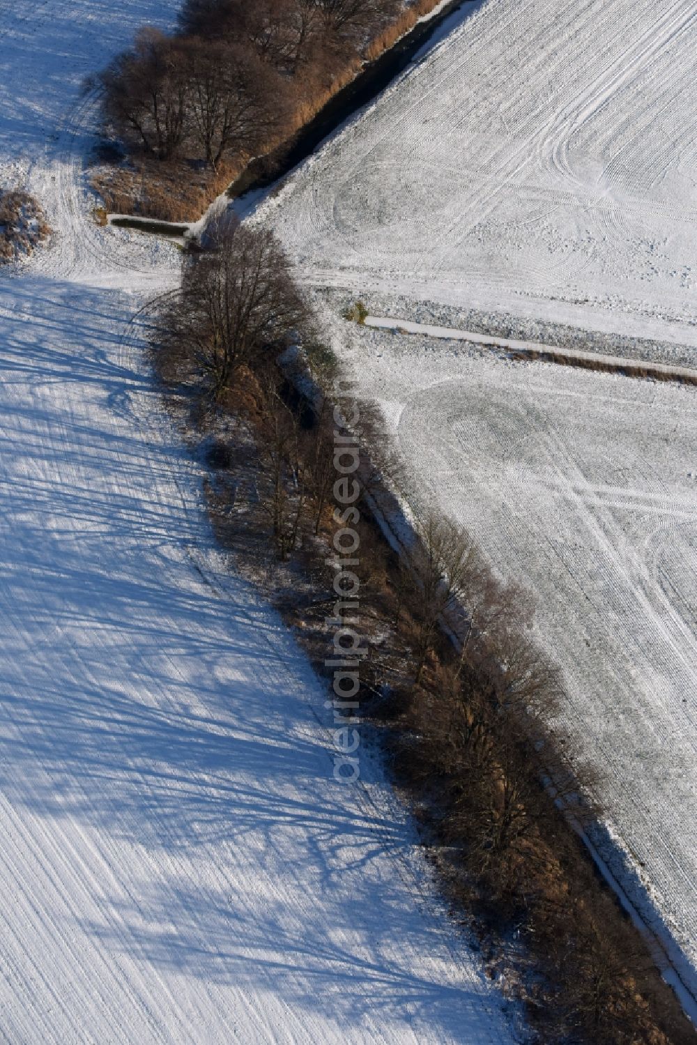 Roskow from the bird's eye view: Winterly snowy rows with asparagus growing on field surfaces with irrigation ditch and line of trees casting long shadows in Roskow in the state Brandenburg